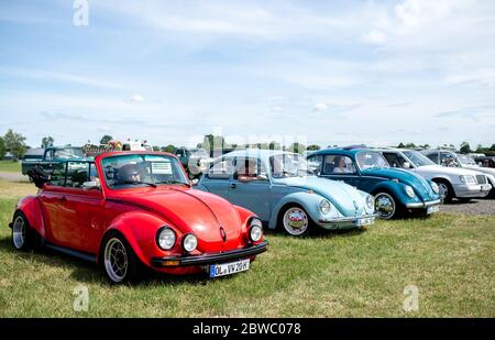 Hude, Deutschland. Mai 2020. Oldtimer des VW Käfer Typs stehen auf dem Gelände eines Drive-in Kinos im Wüsting Bezirk. Mehrere hundert Personen in ihren Oldtimern, Youngtimern und amerikanischen Oldtimern nahmen an der Veranstaltung im Oldenburger Kreis Teil. Die Oldtimer-Fans schauten sich den Film "Le Mans 66 - gegen alle Widrigkeiten" in rund 200 historischen Fahrzeugen an. Kredit: Hauke-Christian Dittrich/dpa/Alamy Live News Stockfoto