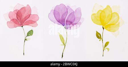 Bild Aquarell, Set von drei Blumen von Hand bemalten Aquarellen. Rote Blüten, lila, gelb. Stockfoto