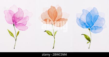 Bild Aquarell, Set von drei Blumen von Hand bemalten Aquarellen. Blüten rosa, orange, blau. Stockfoto