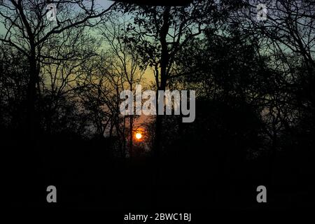 Sonnenaufgang Wald Sonnenstrahlen Naturszene. Sonnenaufgang im Wald. Sonnenaufgang im Wald. Sonnenaufgang in Waldlandschaft Stockfoto