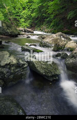 Schnell bewegendes Wasser stürzt über Felsbrocken in einem kühlen Fluss im Frühling Virginia in den Blue Ridge Mountains Stockfoto