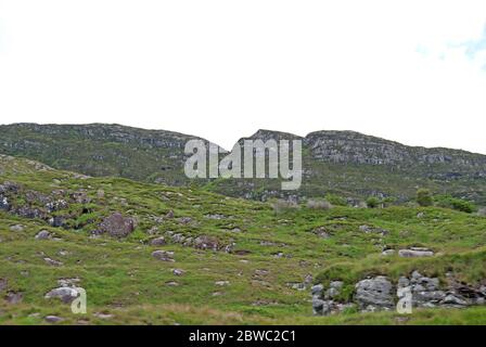 Berge im Killarney National Park, Irland Stockfoto