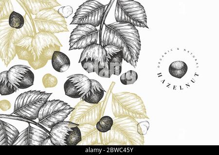 Handgezeichnete Skizze Haselnuss-Designvorlage. Vektorgrafiken organischer Lebensmittel auf weißem Hintergrund. Abbildung der Retro-Mutter. Botanischer Bac mit Gravur Stock Vektor