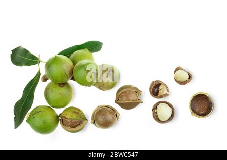 Gruppe von geschälten und ungeschälten Macadamianüssen in Sack auf weißem Hintergrund Stockfoto