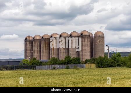 Getreidesilos in einem Weizenfeld. Set von verlassenen Tanks für den Anbau von Kulturpflanzen für den Anbau von landwirtschaftlichen Nutzpflanzen. Stockfoto