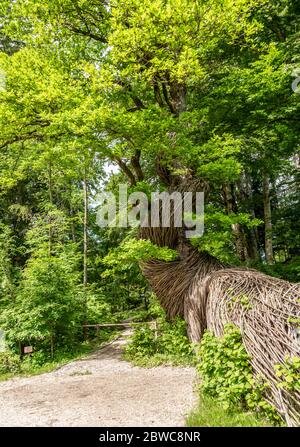 Arte Sella Holz arbeitet in der Natur in Trentino-Südtirol, Borgo Valsugana, dem Sellatal, Borgo Valsugana Norditalien, Europa. Arte Sella. Stockfoto