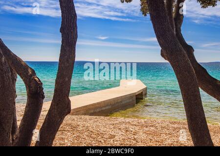 Kroatien, Insel Pag, schöner Strand unter Pinien, türkisfarbenes Wasser der Adria am sonnigen Sommertag. Berühmtes Touristenziel. Stockfoto