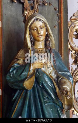 Makellose Herz-Maria-Statue auf dem Hochaltar in der St. Anna Pfarrkirche in Sveta Jana, Kroatien Stockfoto