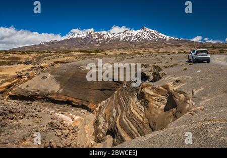 Felsformationen in der Rangipo Wüste, Mt Ruapehu, Tukino Access Road, Tongariro Nationalpark, Manawatu-Wanganui Region, Nordinsel, Neuseeland Stockfoto