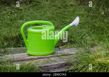 Grüne Gießkanne steht auf dem Boden für die Arbeit im Garten und Garten im Sommer Stockfoto