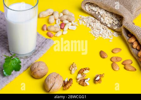 Sackkleidung mit Walnüssen, Mandel, Cashew und Glas Hafermilch. Stockfoto
