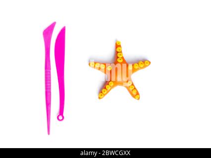 Plastilin modellierende Seesterne. Meereshintergrund. Schritt für Schritt 8. Stockfoto