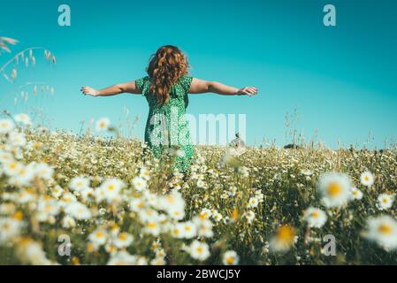 Frau auf dem Rücken mit offenen Armen in einem Feld von Gänseblümchen Stockfoto