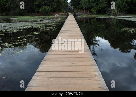 Brücke über Swamp auf dem Weg nach Neak Pean im Komplex Angkor Wat in Siem Reap, Kambodscha an einem Sommertag. Stockfoto