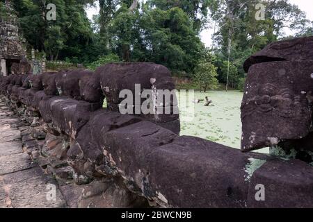 Sumpf im Komplex Angkor Wat in Siem Reap, Kambodscha an einem Sommertag. Stockfoto