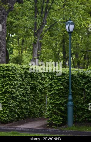 Vintage Laterne mit Überwachungskamera im öffentlichen Park, selektiver Fokus Stockfoto