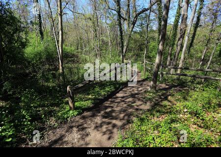 Forsythe Meadow Park Stony Brook Long Island New York Stockfoto