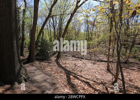 Forsythe Meadow Park Stony Brook Long Island New York Stockfoto