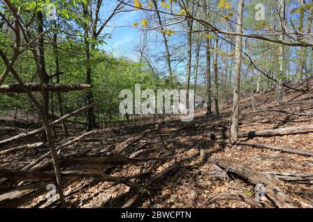 Forsythe Meadow Park Stony Brook Long Island New York Stockfoto