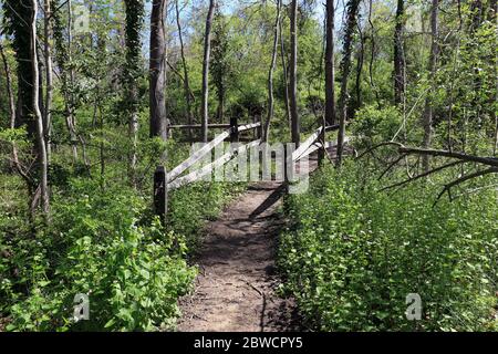 Forsythe Meadow Park Stony Brook Long Island New York Stockfoto