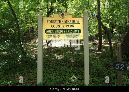 Forsythe Meadow Park Stony Brook Long Island New York Stockfoto