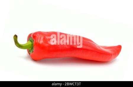 Rote Paprika spitz Stockfoto