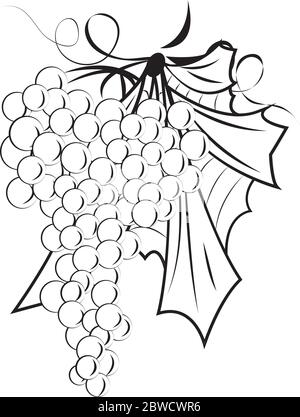 Ein Traubenbündel umreißt Stock Vektor