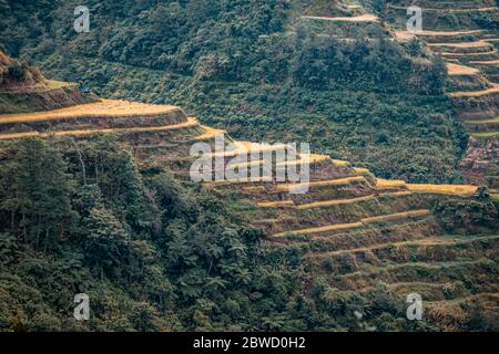 Blick auf Banaue Rice Terrassen Stockfoto