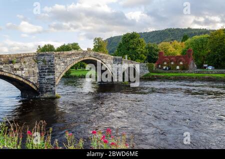 Llanrwst, North Wales, UK: Sep 14, 2017: The Virginia Creeper Clad TU Hwnt i’r Bont traditionelle walisische Teestuben wurden als Wohngebäude in gebaut Stockfoto