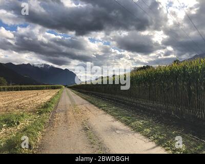 Draußen auf einem Feld mit aufkommenden Wolken in Liechtenstein Stockfoto