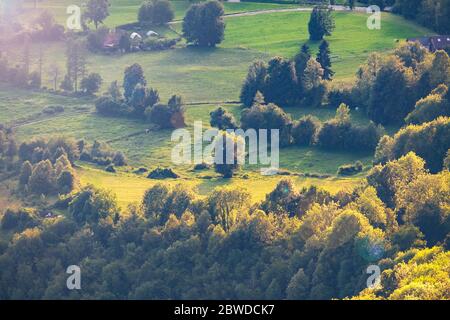 Grüne Abendwiesen im Soca-Tal, Slowenien. Schöne Natur in slowenischer Landschaft. Stockfoto