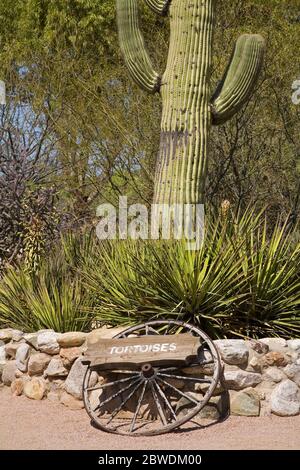 La Posta Quemada Ranch in Colossal Cave Mountain Park, Tucson, Pima County, Arizona, USA Stockfoto