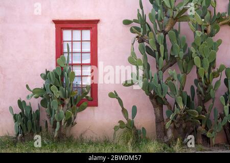 Fenster, Barrio Historico District, Tucson, Arizona, USA Stockfoto