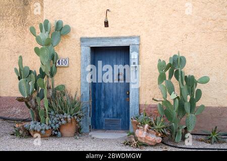 Raven-Galerie im alten Elysian Grove Markt, Barrio Historico Bezirk, Tucson, Arizona, USA Stockfoto