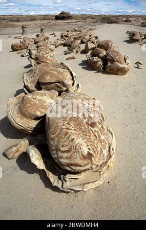 NM00317-00...NEW MEXICO - EINE Reihe von zerrissenen Eiern und ein paar Hoodoos, alle in der erstaunlichen Bisti Wildnis gefunden. Stockfoto