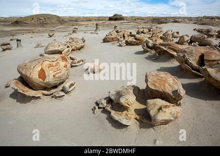 NM00318-00...NEW MEXICO - die bunten 'rissigen Eier', nur eine von vielen ungewöhnlichen Felsformationen in der Bisti Wildnis. Stockfoto