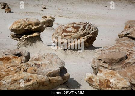 NM00325-00...NEW MEXICO - Bunte Felsbrocken in der 'Cracked Eggs' Formation der Bisti Wilderness Area. Stockfoto