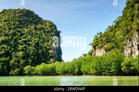 Mangroven in der versteckten Lagune auf Koh Hong, Krabi, Thailand Stockfoto