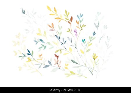 Aquarell Malerei von Blättern und Blumen auf weißem Hintergrund, Hand zeichnen. Stockfoto