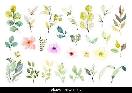 Set von Aquarell Design-Elemente, handbemalte florale Zweig. Bunte Blume mit Grün, für Hochzeit, Poster, Grußkarte, Einladungskarte. Ill Stockfoto