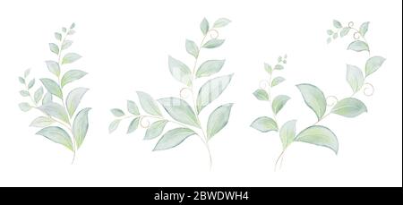 Aquarell Set von grünen Blättern und Ästen Elemente. Botanical Greenery Blatt handbemalt isoliert. Kann als Element in der dekorativen verwendet werden Stock Vektor