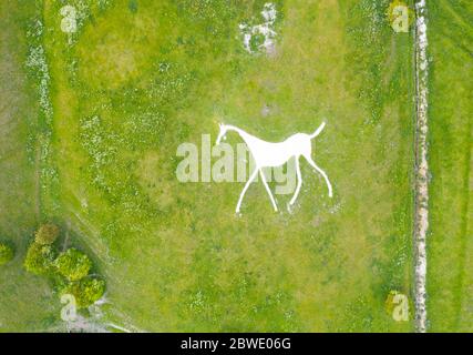 Hackpen White Horse Kreidehügel Figur eines weißen Pferdes auf Hackpen Hill, unterhalb des Ridgeway am Rande der Marlborough Downs gelegen, Stockfoto