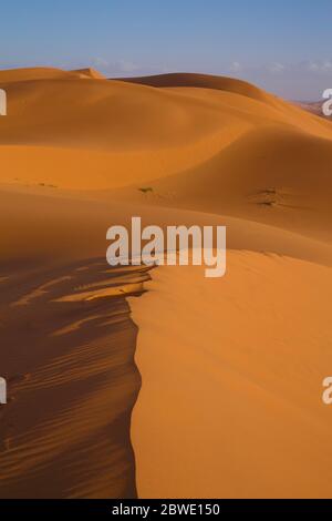 Vertikale Ansicht des goldenen Lichts in der Wüste in Merzouga, Marokko Stockfoto