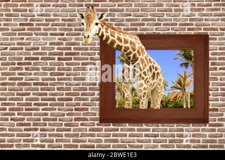 Giraffe in Holzrahmen mit 3d-Effekt auf alte Ziegelwand. Platz für Text kopieren Stockfoto