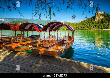 Traditionelle touristische hölzerne Pletna Boote in Reihe vor dem Pier festgemacht. Pletna Ruderboot auf dem schönen Bleder See und mittelalterliche Burg auf dem Hügel in Stockfoto