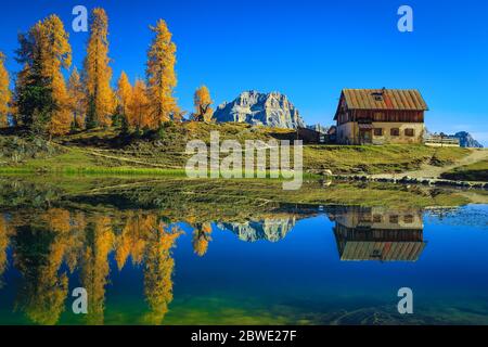 Niedliche Schutzhütte und bunte gelbe Redwoods in der Nähe des Sees Federa. Schöne Herbstlandschaft in den Dolomiten, Italien, Europa Stockfoto