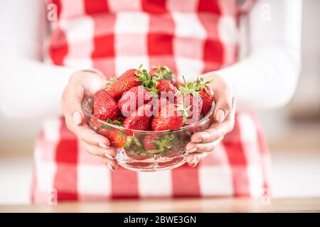 Detail der Hände der Frau, die eine Schüssel voll frischer Erdbeeren hält Stockfoto