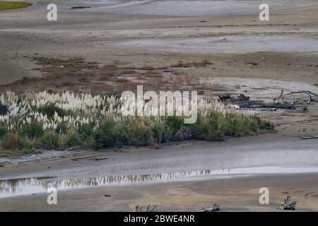 Flussmündung mit Vegetation bei Ebbe und Schlammdecke ausgesetzt Stockfoto