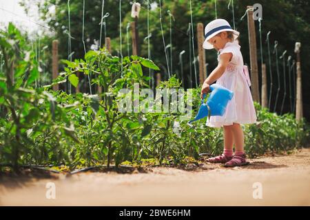 Ein wenig Gärtner, der Tomaten im grünen Garten gießt. Gartenbau. Stockfoto