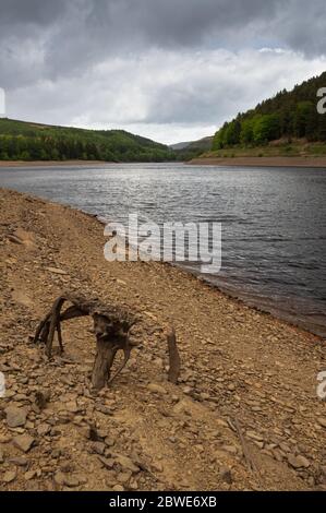 Ein Stück totes Treibholz am Ufer des Derwent Reservoirs, mit Howden-Staudamm in der Ferne, im Peak District, Großbritannien Stockfoto